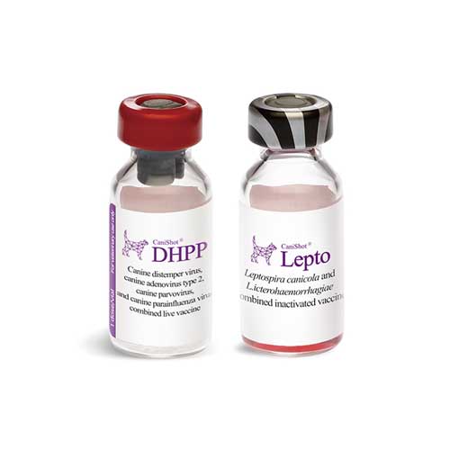 واکسن شش گانه سگ کنی شات دی اچ پی پی + کنی شات لپتو (CaniShot®DHPPL)
