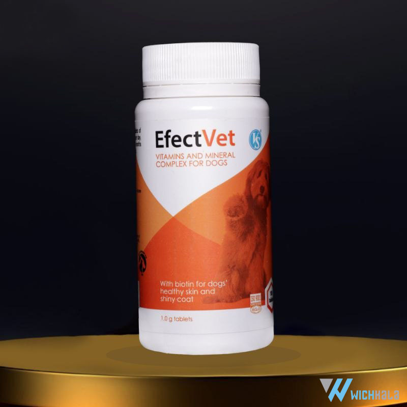 مکمل تقویتی بیوتین biotin سگ Efect Vet