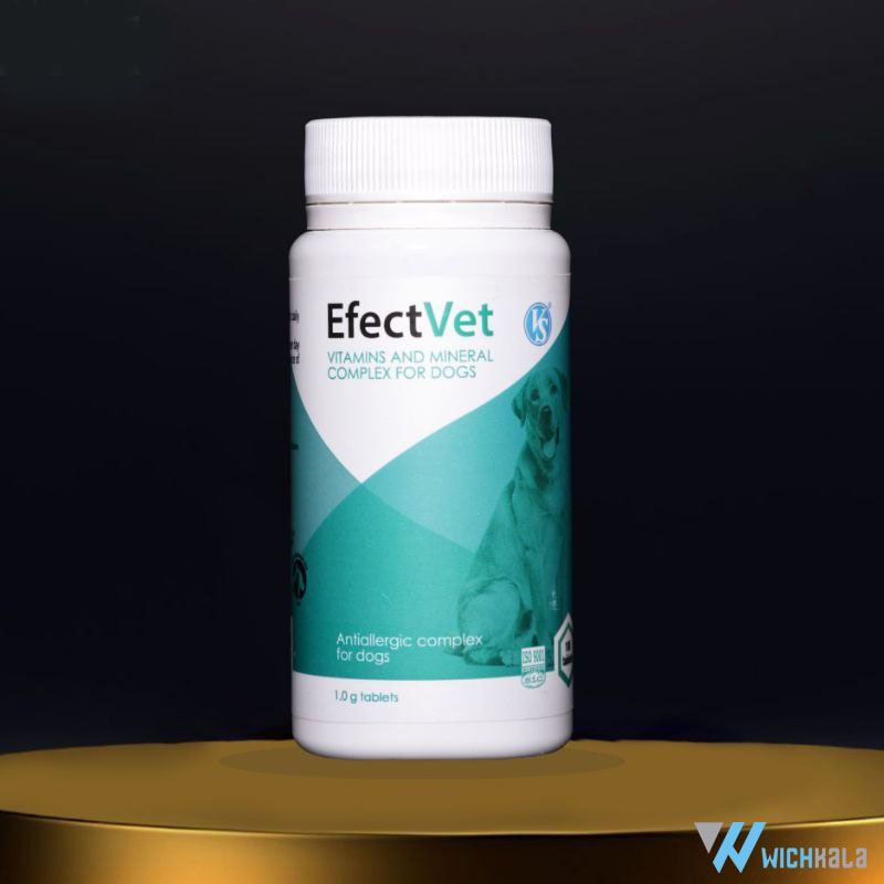 مکمل مولتی ویتامین و مینرال سگ برند Efect Vet