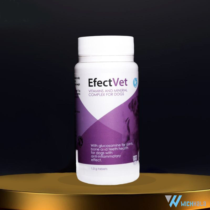 مکمل تقویتی مفاصل  و گلوکزامین سگ برند Efect Vet