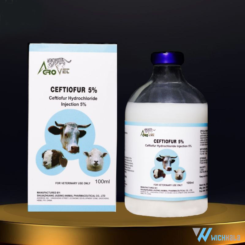 آنتی بیوتیک سفتیفور ceftiofur 5% برند agro vet