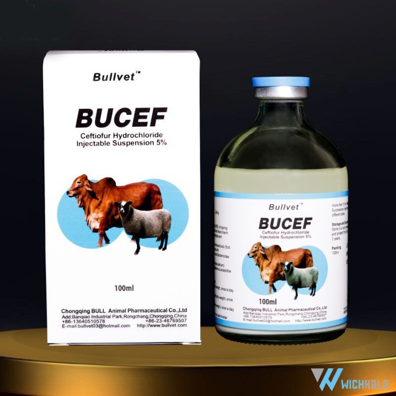 آنتی بیوتیک سفتی فور BUCEF برند بول وت Bullvet